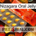 Nizagara Oral Jelly new01
